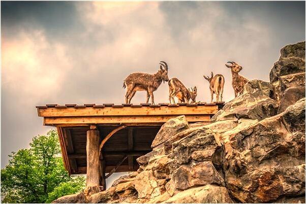 夢到了死人給自己買房子怎么說_周公解夢官網