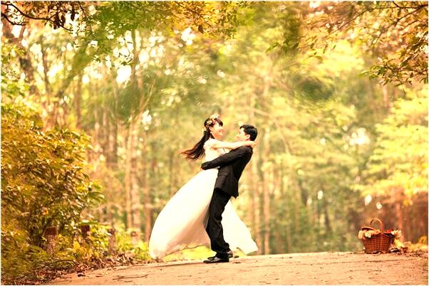 夢見大片的白梨花預示了什麼_周公解夢官網