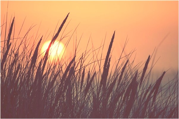 夢到已故奶奶小便是凶兆還是吉兆_周公解夢官網