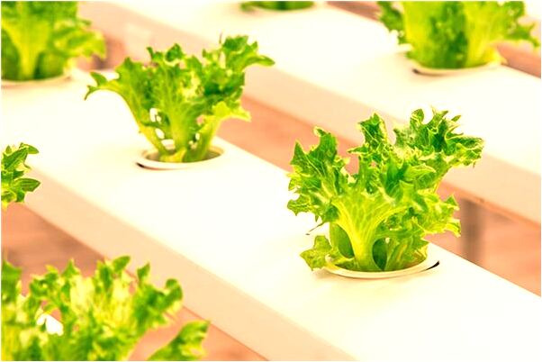 夢見工地快交工有什麼預示嗎_周公解夢官網