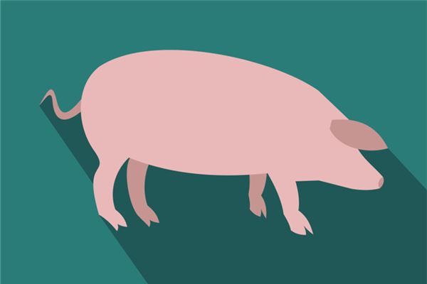 夢見殺豬開膛破肚_周公解夢