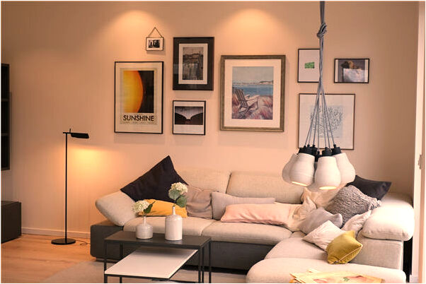 夢見海里有很多鮑魚是什麼徵兆_周公解夢官網