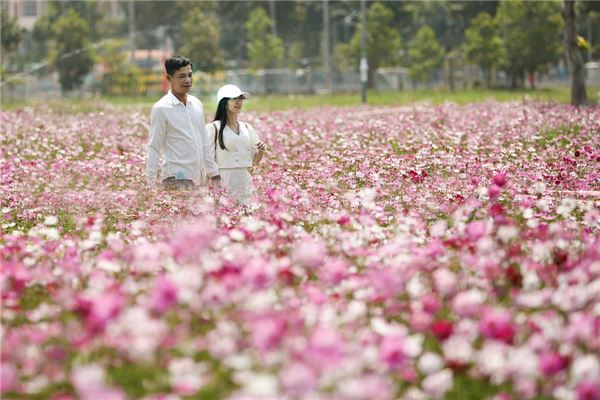 夢見與異性什麼預兆_周公解夢