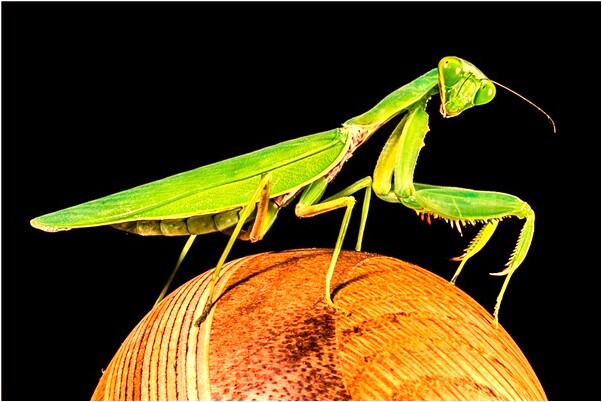 夢到回原單位有什麼徵兆_周公解夢官網