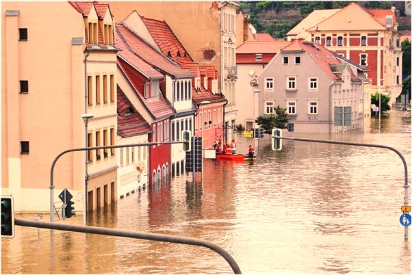 夢到了螺和桔有什麼徵兆_周公解夢官網