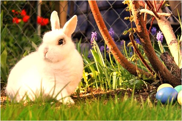 夢到了自認為學佛和宗喀巴更相應是啥預兆_周公解夢官網