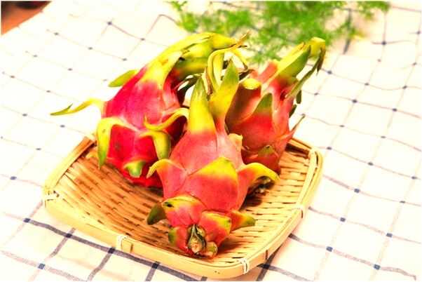 夢到了鵝蛋中孵出兩條小龍魚好不好_周公解夢官網