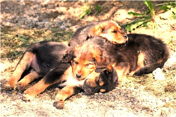 夢見喝甜湯好不好_周公解夢官網