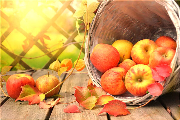 夢到朋友摸我下體摸出一手血是好是壞_周公解夢官網