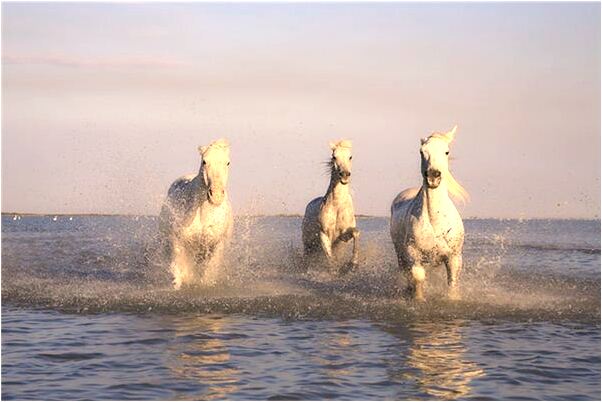 夢到遇見以前同事有什麼意思_周公解夢官網