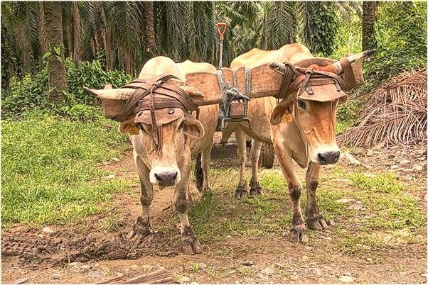 夢到家門又被撬開預示著什麼_周公解夢官網