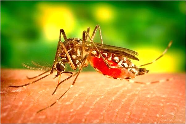 夢到了和夂人光著身體是不是好的徵兆呢_周公解夢官網