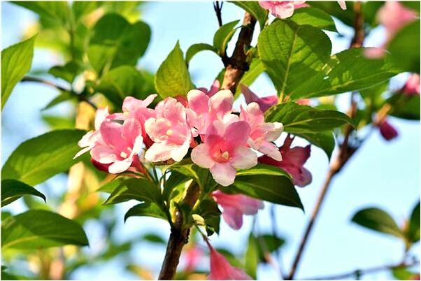 夢見許多女人在睡覺代表著什麼_周公解夢官網