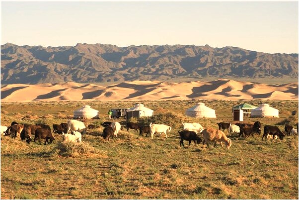 夢到多人在我家廁所吃東西會是什麼預兆_周公解夢官網