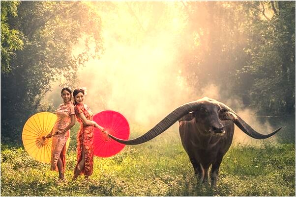 夢到我一個人在三樓睡覺怎么說_周公解夢官網