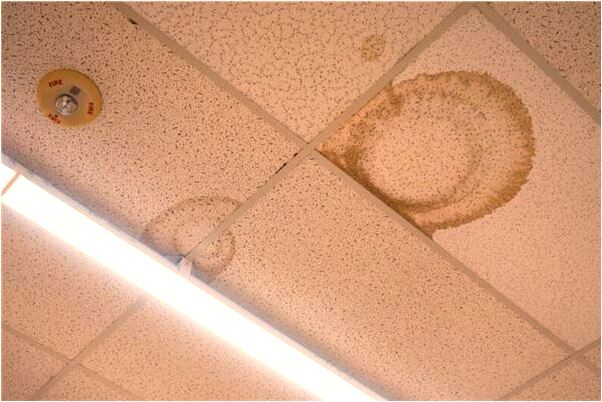 夢到了長長得粉條是什麼意思？_周公解夢官網