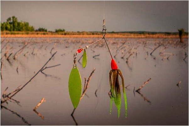 夢見自己手生血是不是好的徵兆呢_周公解夢官網