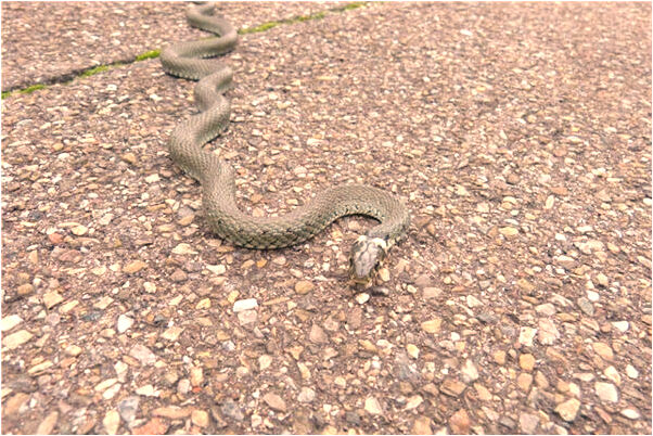 夢到了女友打我有什麼寓意嗎？_周公解夢官網