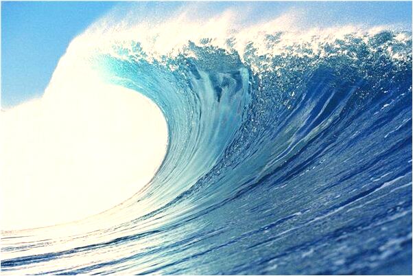 夢見自己被狠多狗追這咬是什麼徵兆_周公解夢官網