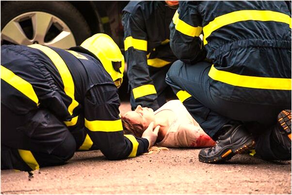 夢到了夢餵狗預示什麼_周公解夢官網