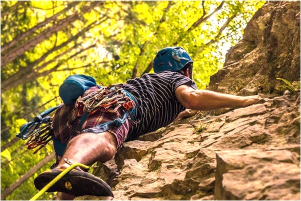 夢見季子樹上結了很多果子有什麼說法_周公解夢官網