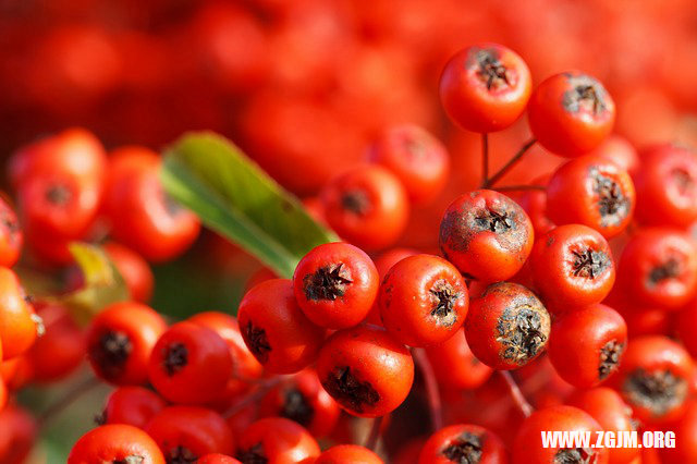 夢見白色的涼鞋上有血_周公解夢夢到白色的涼鞋上有血是什麼意思_做夢夢見白色的涼鞋上有血好不好_周公解夢官網