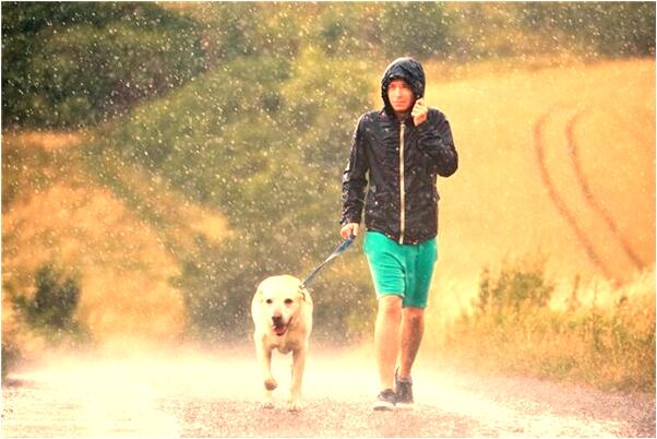 夢見被人搶腳踏車預兆了什麼嗎_周公解夢官網