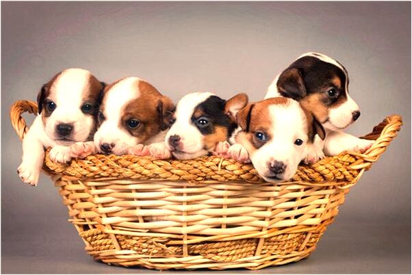 夢見腿走不了路有什麼徵兆_周公解夢官網