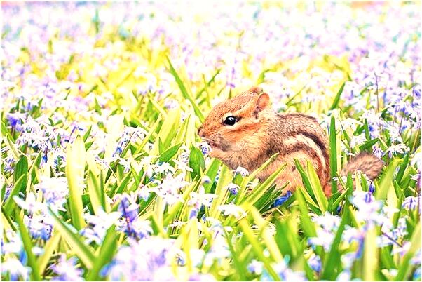 夢見爬房頂撿書包代表著什麼？_周公解夢官網