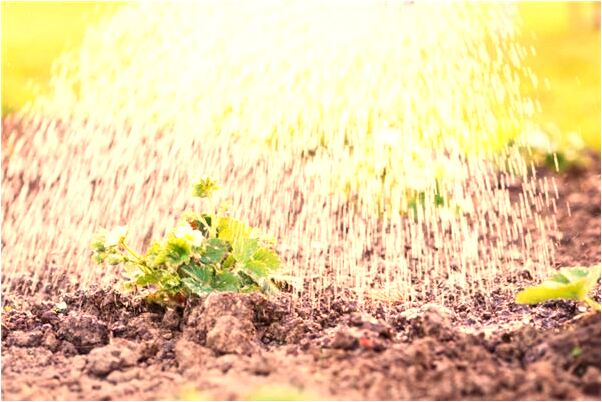 夢到自已熟悉的男人有什麼預兆_周公解夢官網