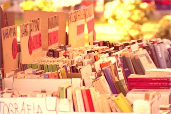 夢到了放生倉鼠是什麼徵兆_周公解夢官網