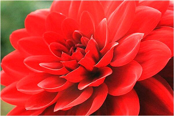 夢到了我當醫生救人有什麼意思嗎_周公解夢官網