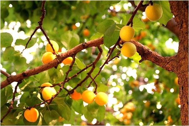 夢到了與國中數學老師打架有什麼意義嗎_周公解夢官網