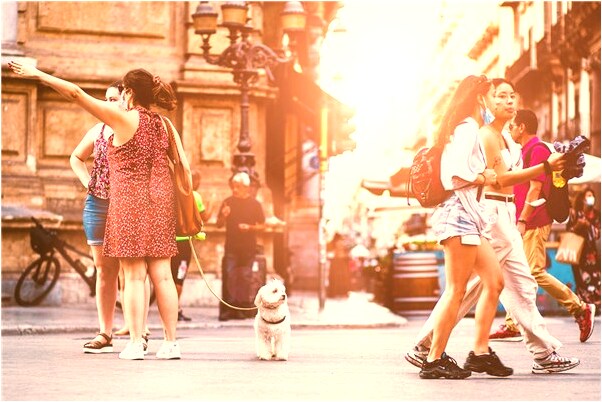 夢到開車有人從車上摔下是好是壞_周公解夢官網