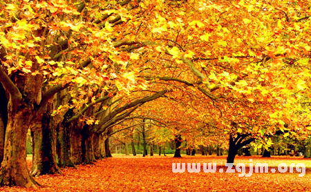 Autumn in October, Aries will reap what _ the zodiac