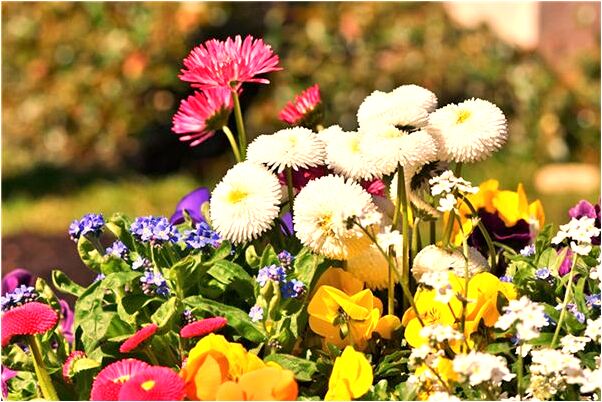 夢見與男友口交是什麼預兆？_周公解夢官網