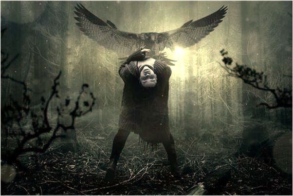 夢見水沒了只剩很外蝦有什麼意思嗎_周公解夢官網