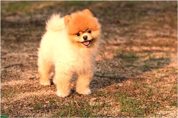 夢到了和初戀的男朋友打架代表什麼_周公解夢官網