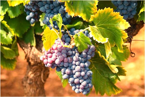 夢見破女人處有何寓意_周公解夢官網