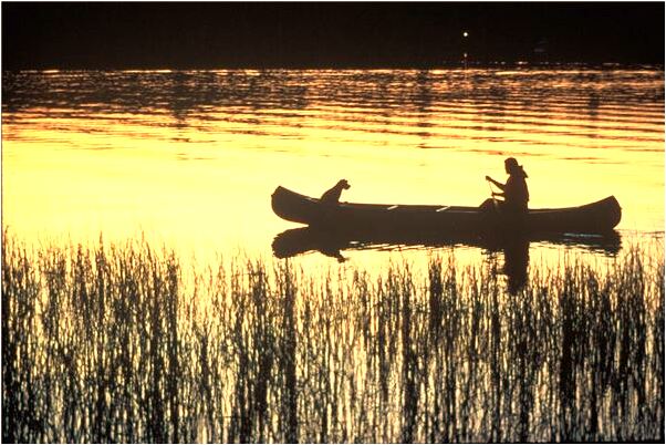 夢見棺材有死人是怎么回事_周公解夢官網