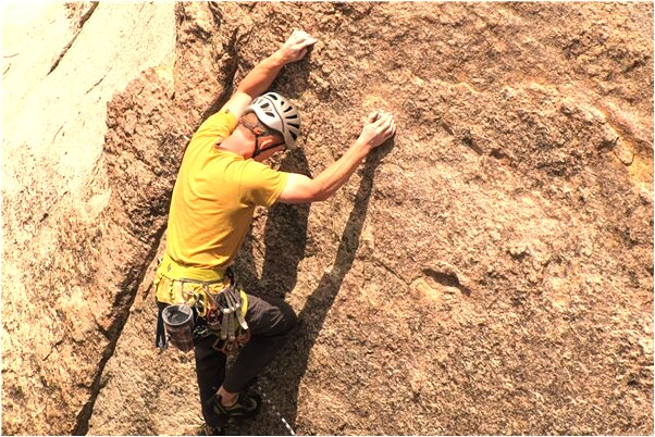 夢到了一支蟲子會有什麼預兆_周公解夢官網