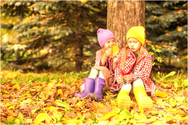夢見動物死了是什麼預兆_周公解夢官網
