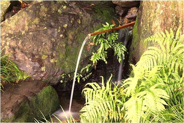 夢到了胳膊上長胎記長痘有什麼含義_周公解夢官網