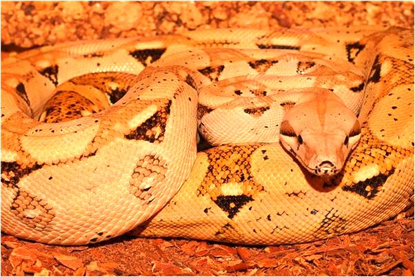 夢見我在大馬路上丟了是什麼意思_周公解夢官網