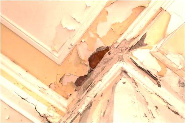 夢到了女人生了好多小豬有什麼說法_周公解夢官網