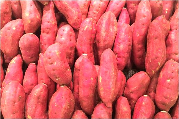 夢見自己家進水會怎么樣_周公解夢官網