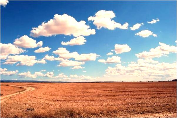 夢到了蠍子哲我打死了是啥預兆_周公解夢官網