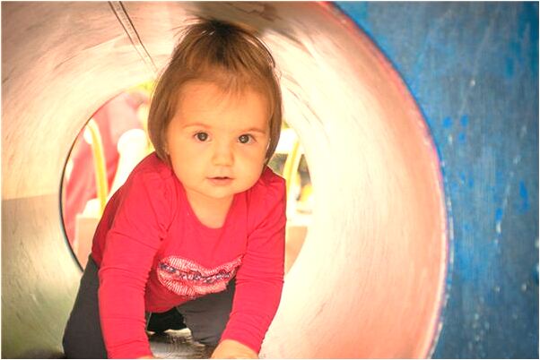 夢到因花樹是凶兆還是吉兆_周公解夢官網