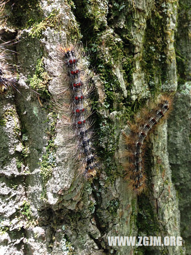 夢見路不好走_周公解夢夢到路不好走是什麼意思_做夢夢見路不好走好不好_周公解夢官網