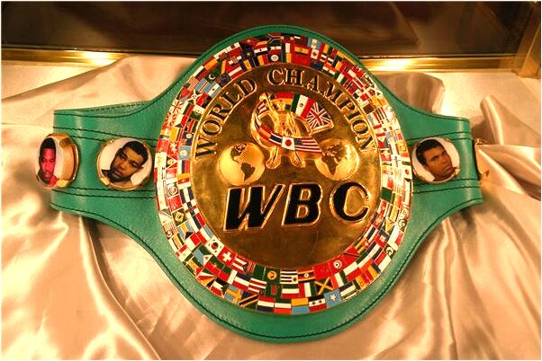 夢見兩條狗對叫有什麼意思嗎_周公解夢官網